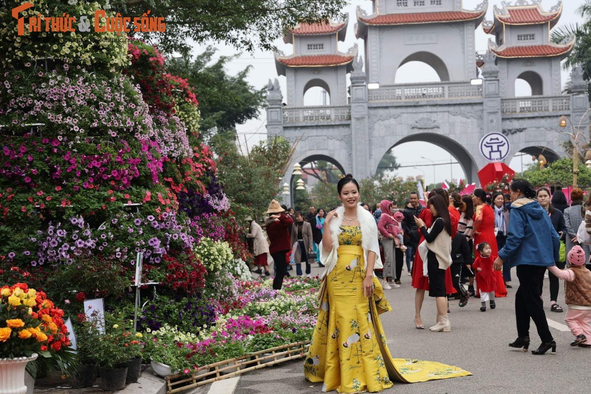 Khai mac Festival hoa Me Linh 2022, tung bung huong sac-Hinh-10