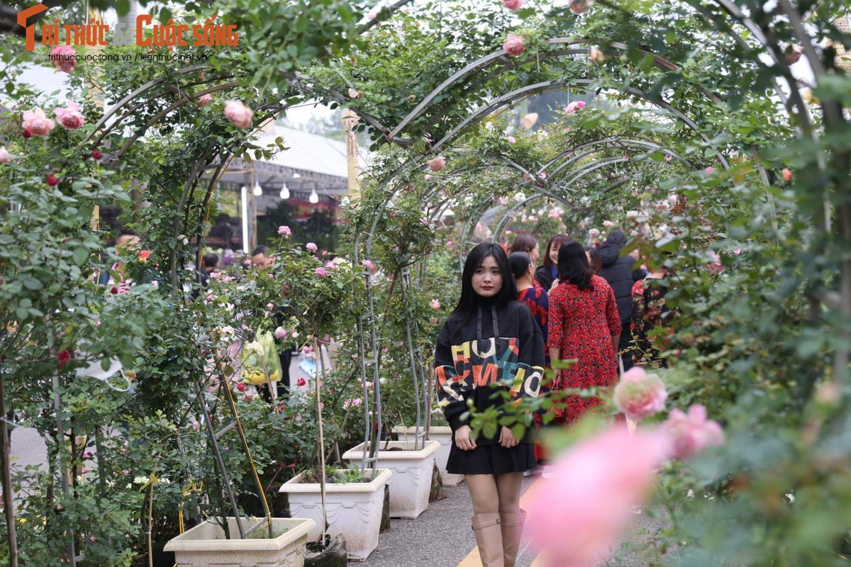 Khai mac Festival hoa Me Linh 2022, tung bung huong sac-Hinh-11
