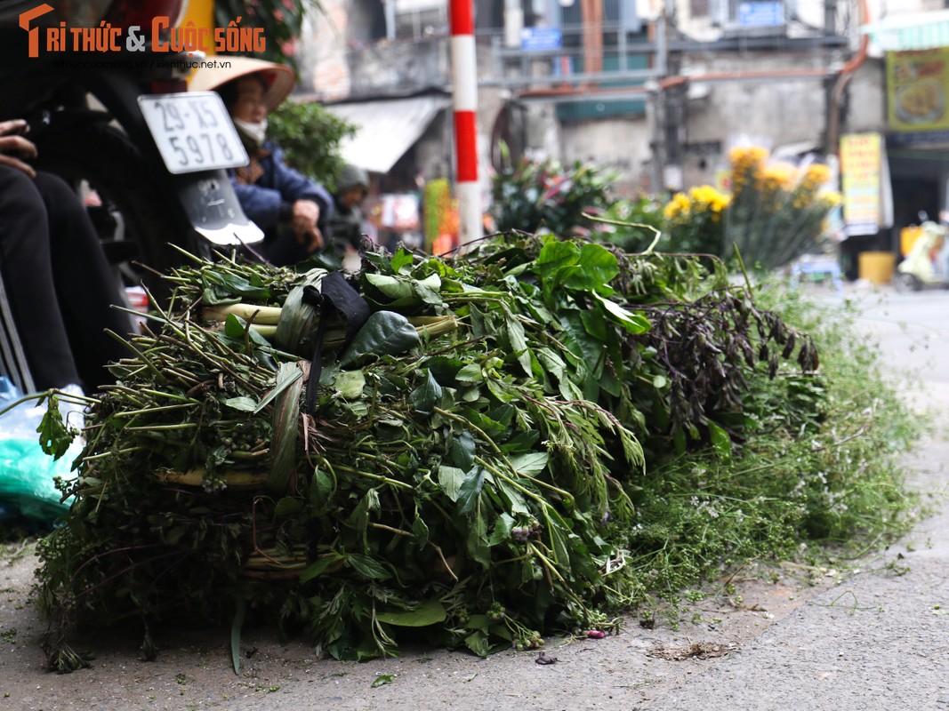 Three countries are motherland, a beautiful style right on Tet-Hinh-8