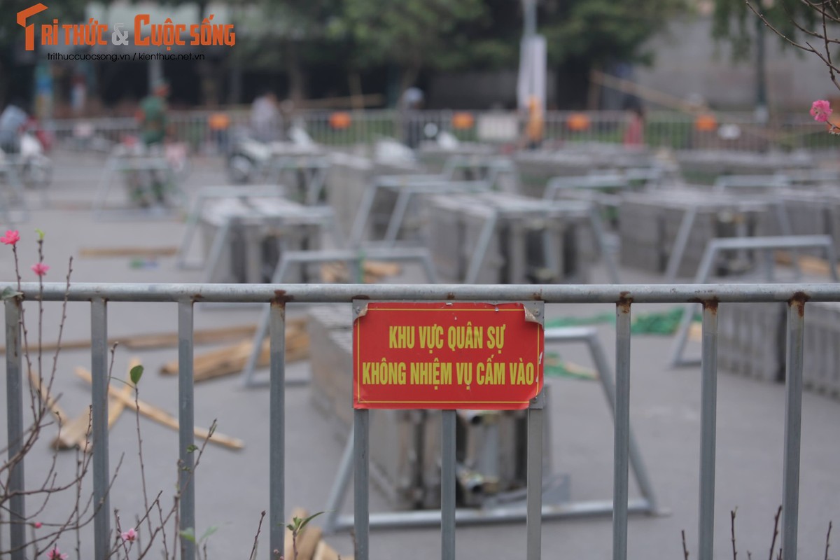 Checking out the flower field in Ha Noi before the flower opening-Hinh-10