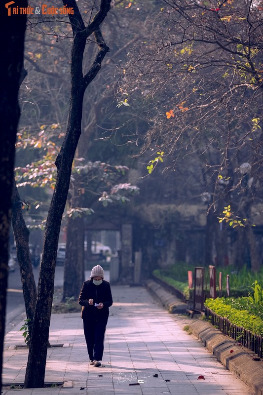 Ha Noi celebrates 30 Tet, light incense and chat tho-Hinh-11